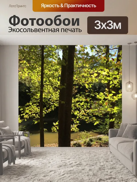 Фотообои Лес