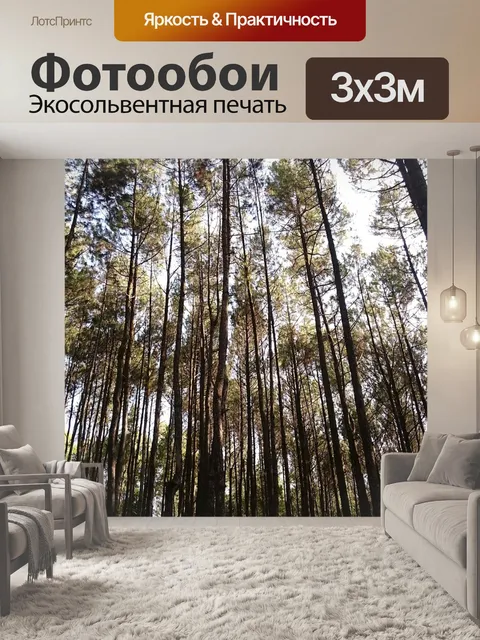 Фотообои Сосна
