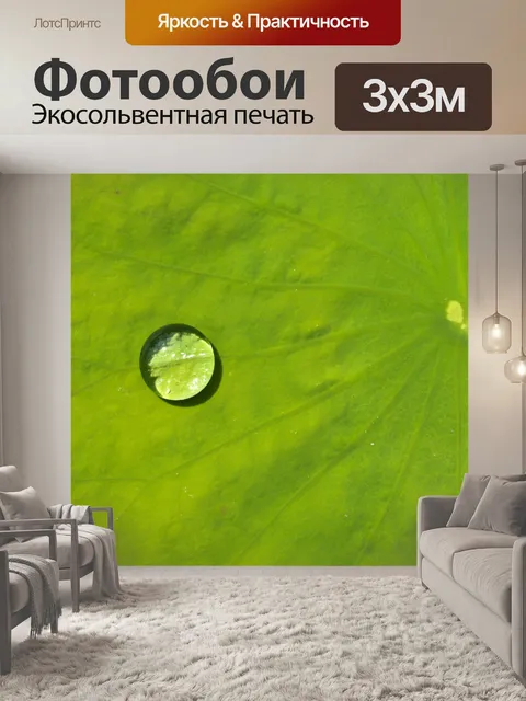 Фотообои Цветок лотоса