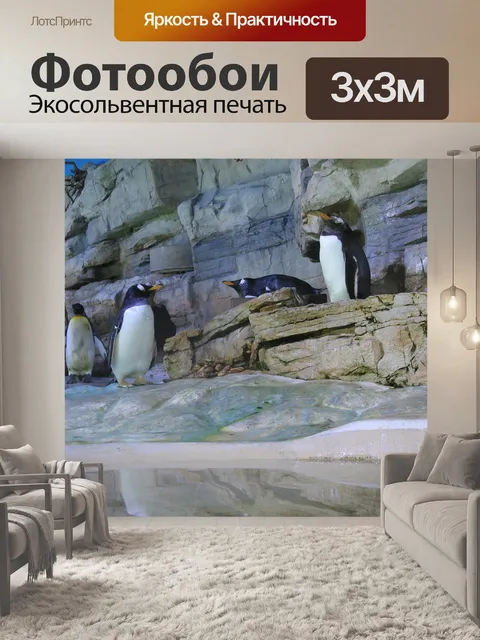 Фотообои Пингвин