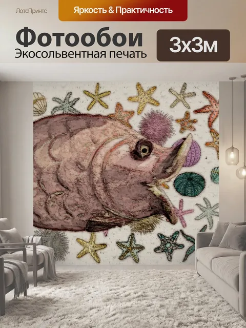 Фотообои рыба, морские звезды и морские ежи