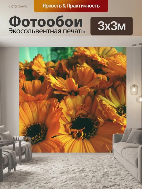 Фотообои Гербера