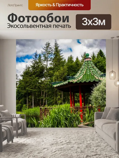 Фотообои Дерево Пергола