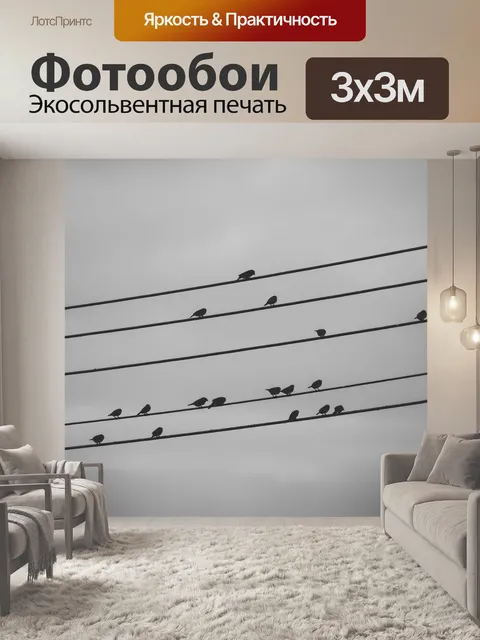 Фотообои Птицы на проводе
