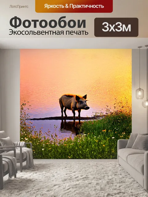 Фотообои дикий кабан, стоящий на краю спокойного озера, где вода отражает яркие цвета заката