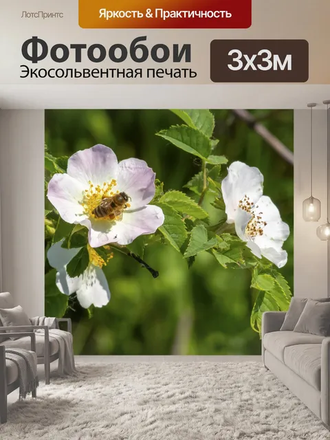 Фотообои Уайлдфлауэр