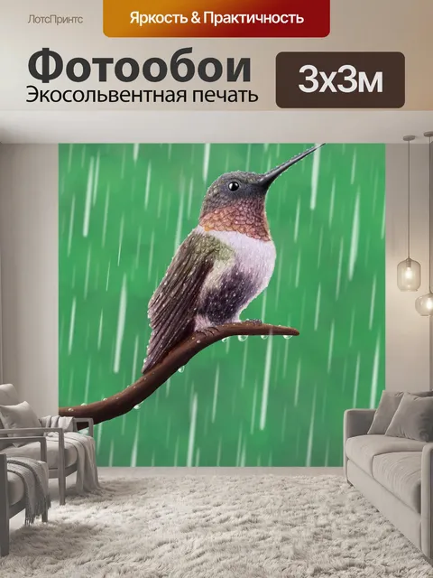 Фотообои Колибри