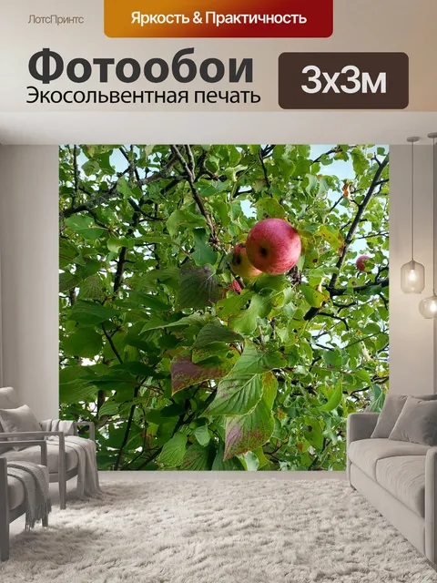 Фотообои Дикие яблоки 5