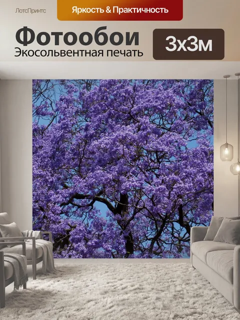Фотообои Джакаранды дерева, Аркадия, Претория