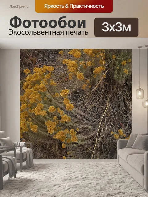 Фотообои Желтые цветы на кустах карри