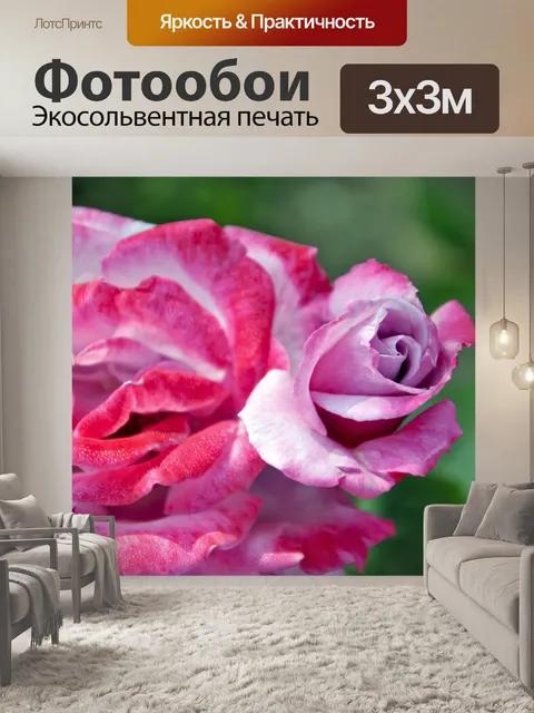 Фотообои Розовые розы