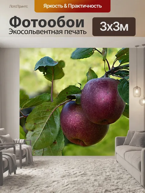 Фотообои Природа