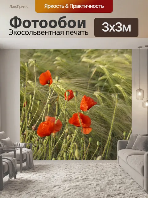 Фотообои Маков поле цветет природа
