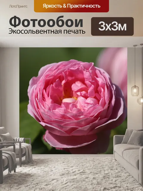 Фотообои Цветок