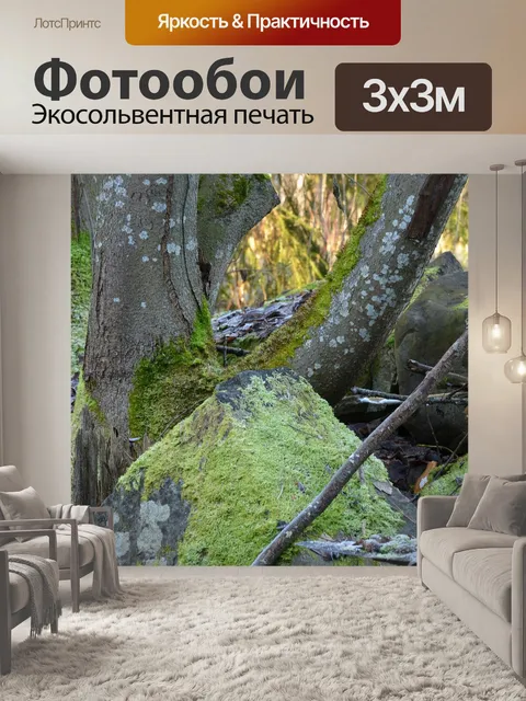 Фотообои Мосс