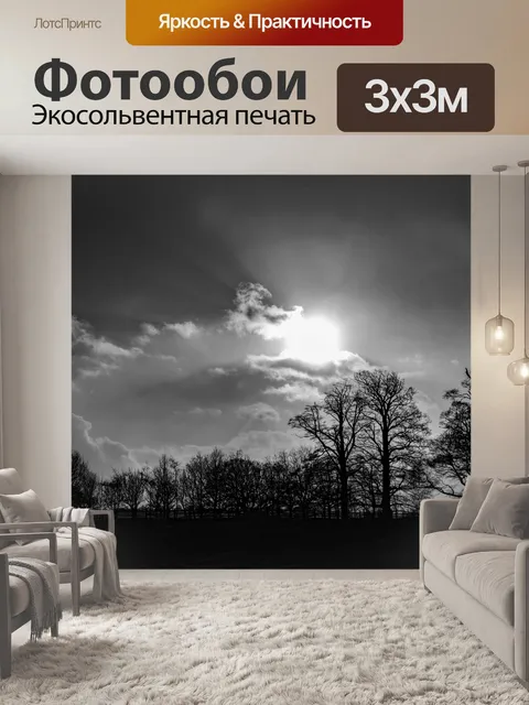 Фотообои Деревья без листьев