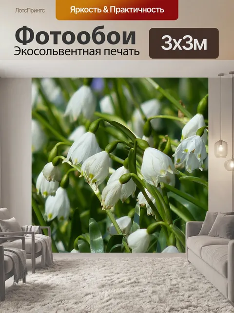 Фотообои Märzenbecher