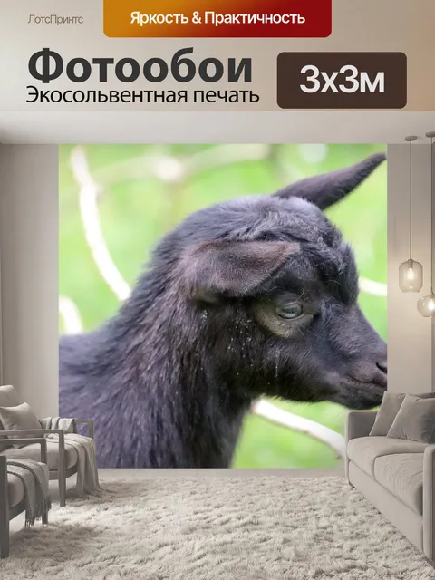 Фотообои Козел