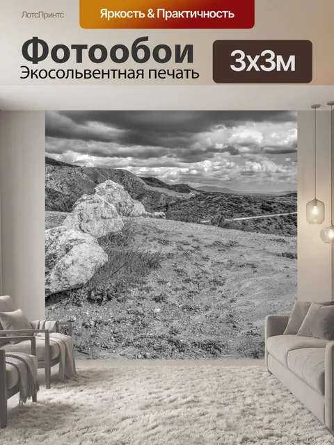 Фотообои черно-белый пейзаж
