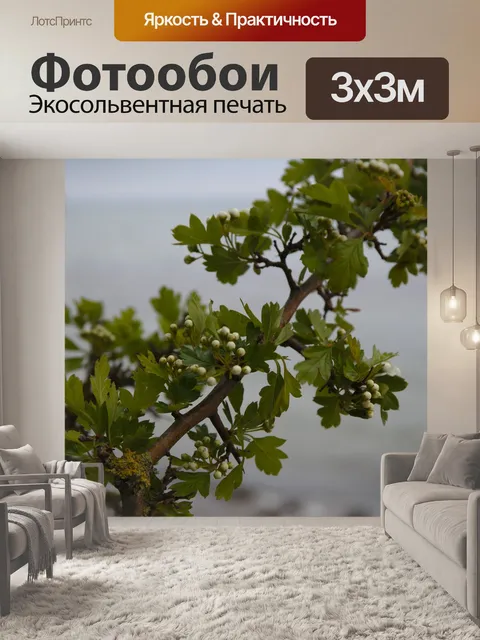 Фотообои Море