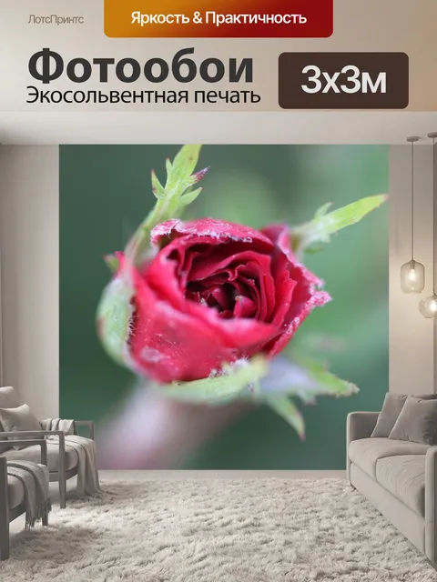 Фотообои Красный