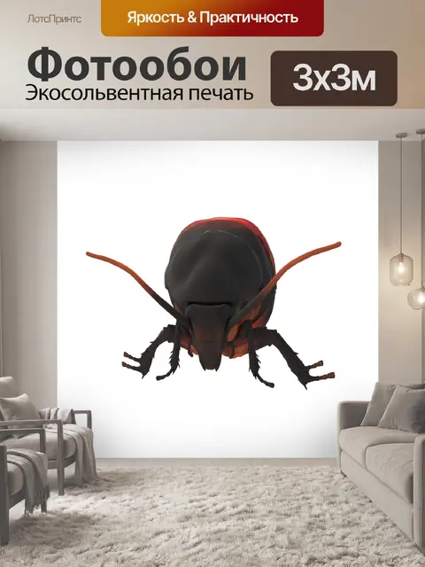 Фотообои восточный таракан