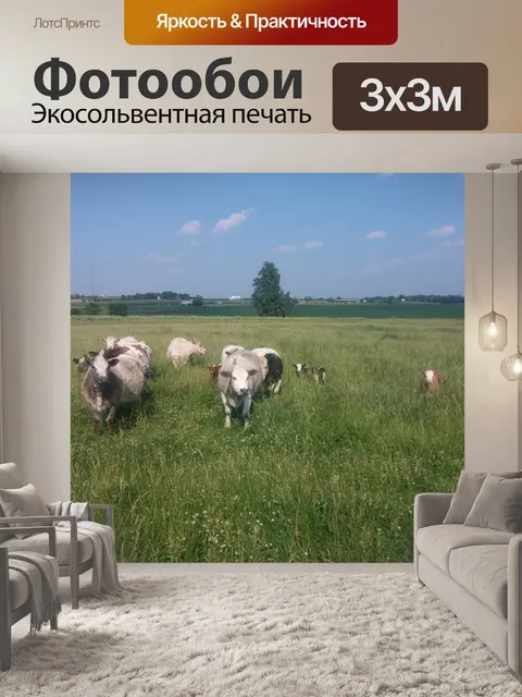 Фотообои Крупный рогатый скот на пастбище
