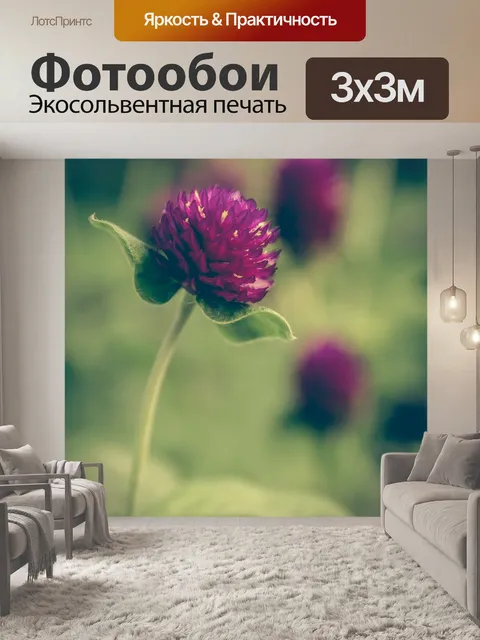 Фотообои Клевер