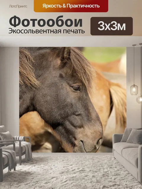 Фотообои Лошадь