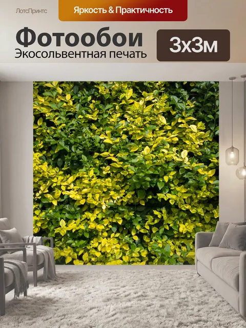 Фотообои Природные Забор