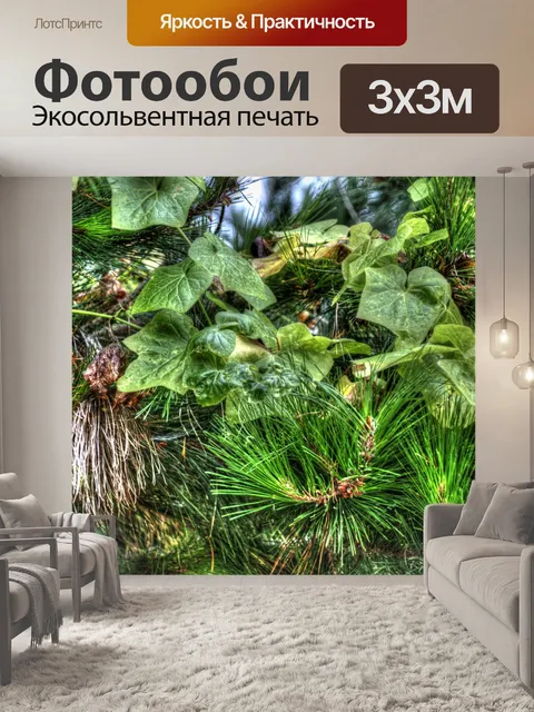 Фотообои Зеленые растения фон