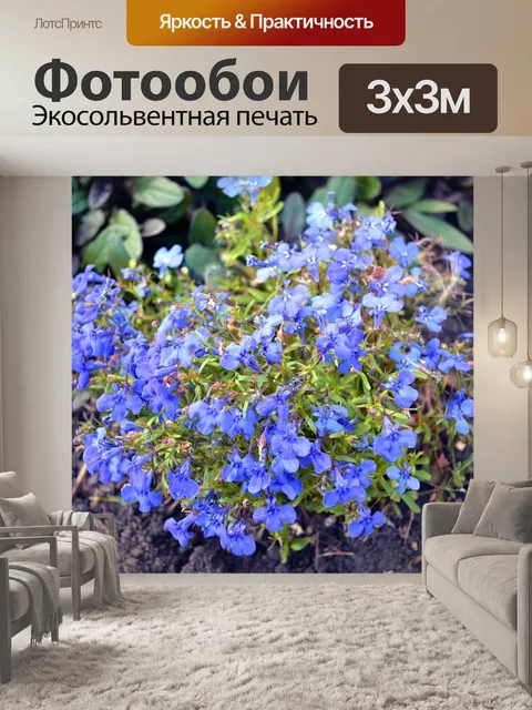 Фотообои Лобелия