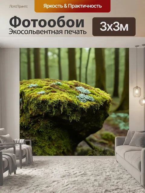 Фотообои камень, покрытые мхом и лишайниками, отражающие атмосферу древнего леса