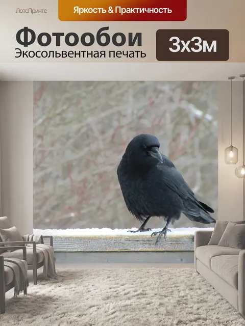 Фотообои Ворона