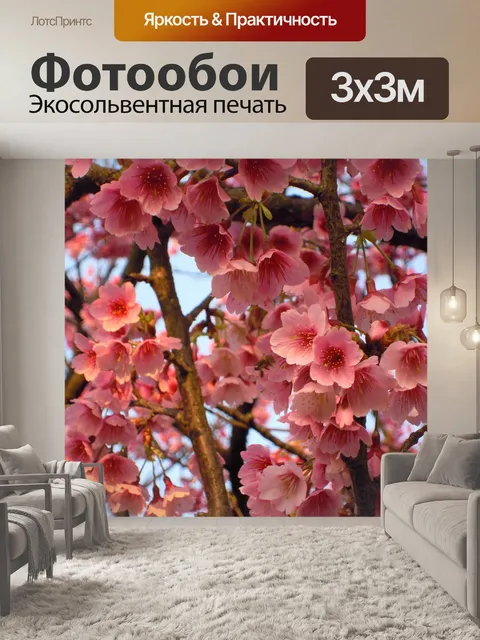 Фотообои Чернослив