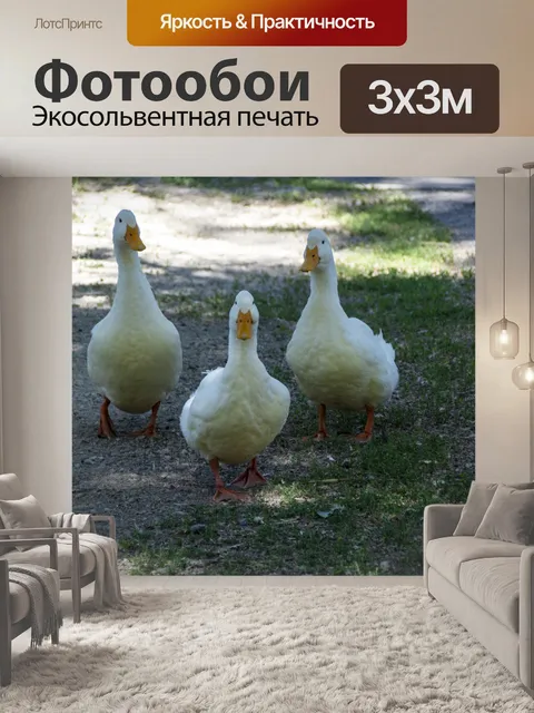 Фотообои Гуси