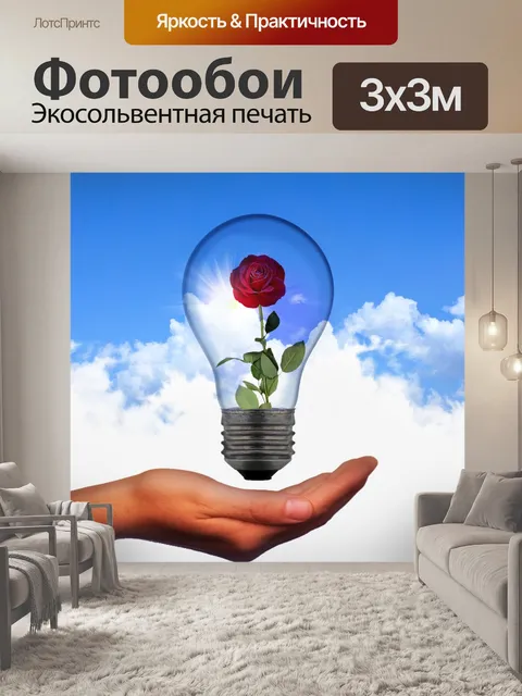 Фотообои Роза в руке