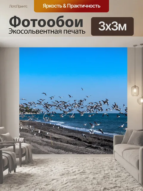 Фотообои Чайки