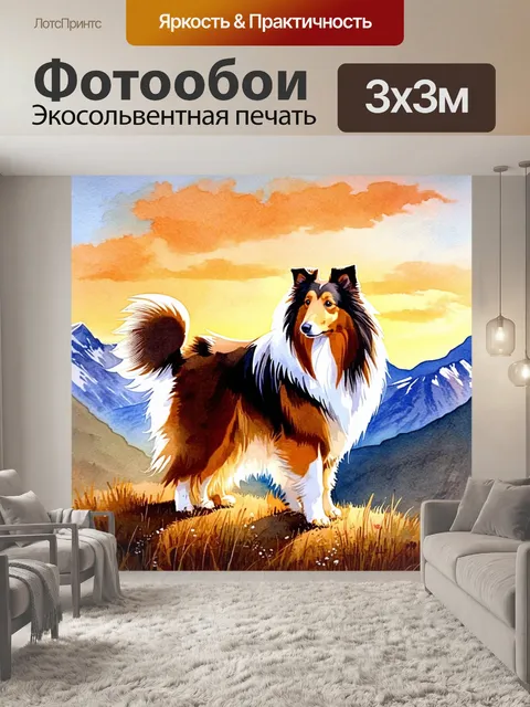 Фотообои грубая колли, стоящая на фоне живописного горного пейзажа на закате