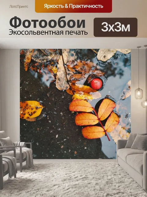 Фотообои Лужа