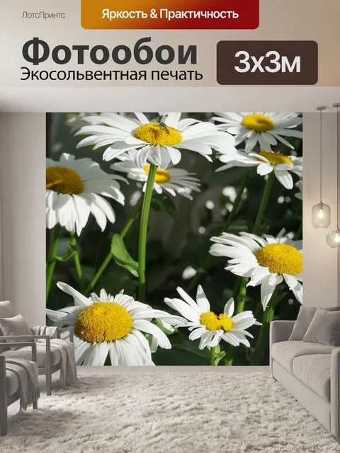 Фотообои Солнце