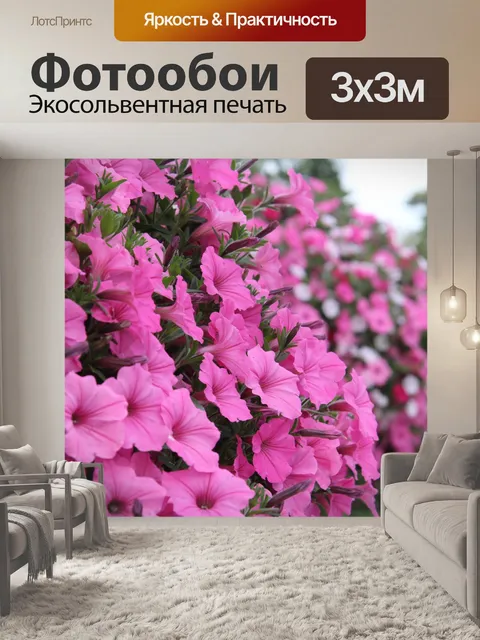 Фотообои Красивые розовые цветы в горшках