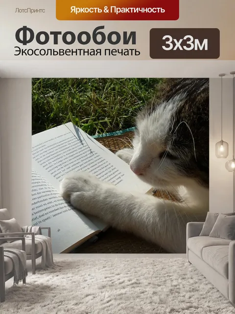 Фотообои Чтение
