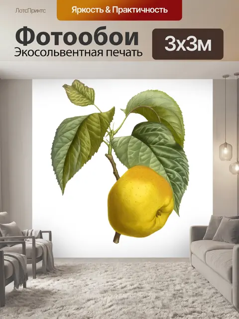 Фотообои Яблоко фруктовое марочное