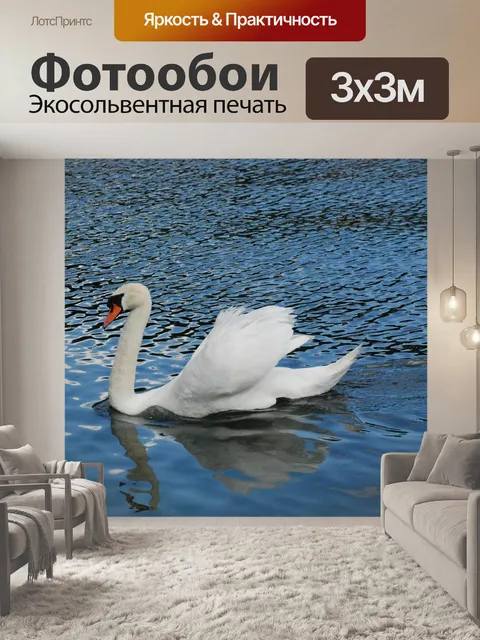 Фотообои Лебедь