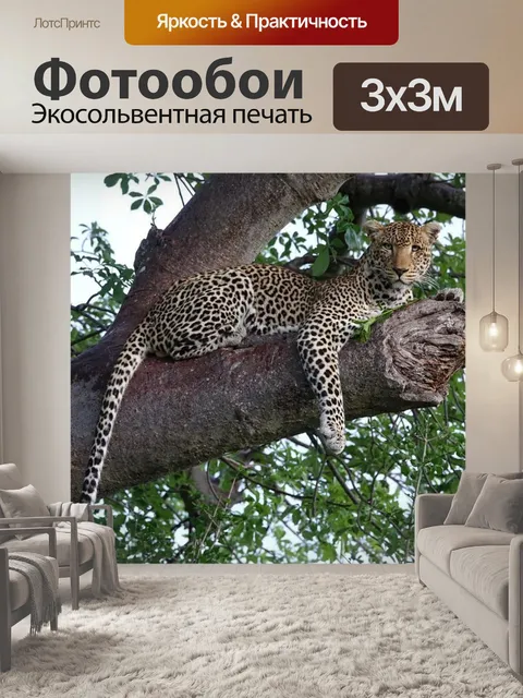 Фотообои Леопард
