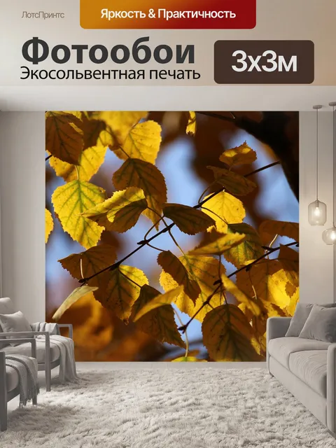 Фотообои Осень