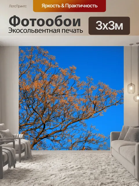 Фотообои Сирень дерево в голубое небо