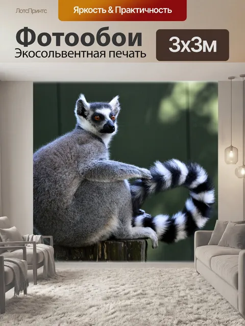 Фотообои Кошачий лемур 18