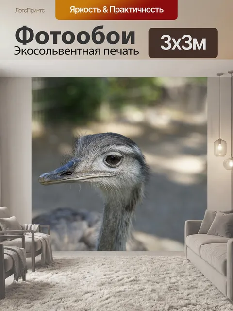 Фотообои Нанду
